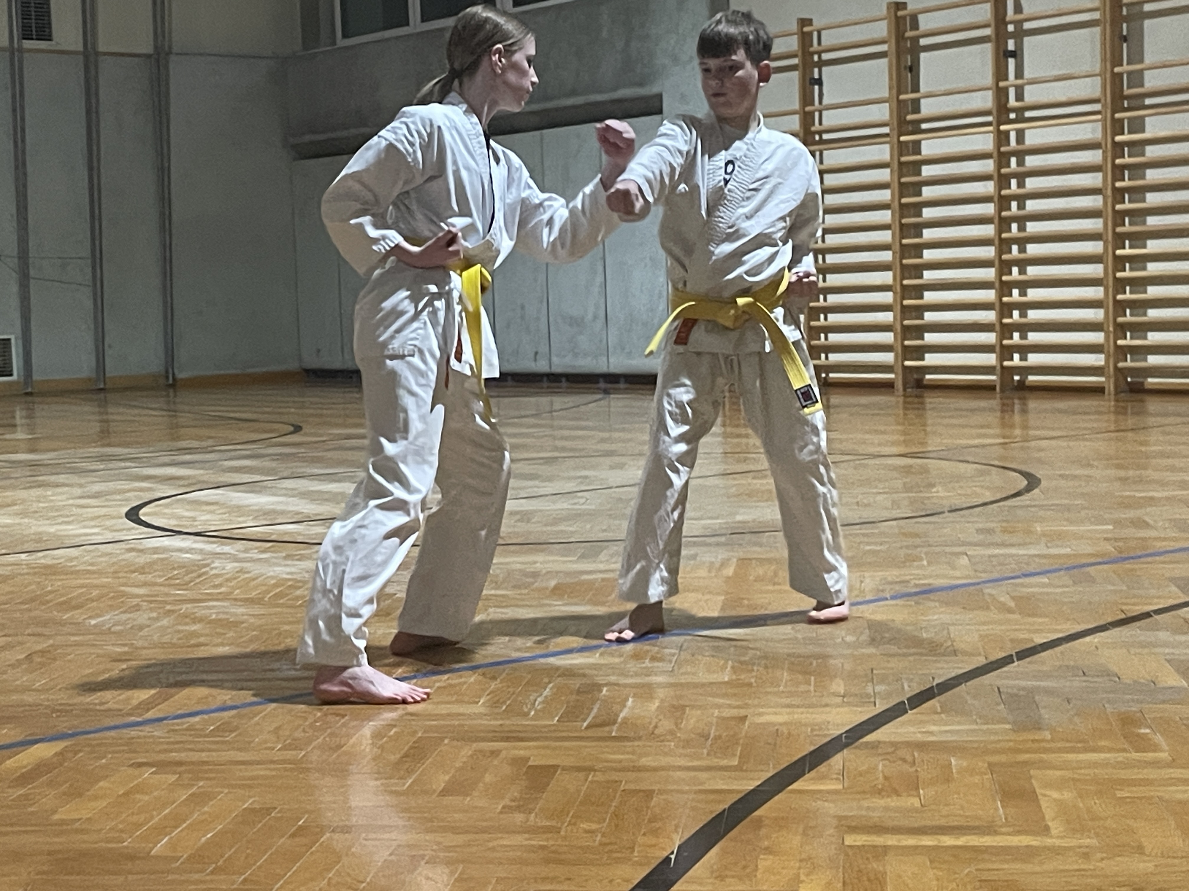 Gelbgurte bei Partnerübungen